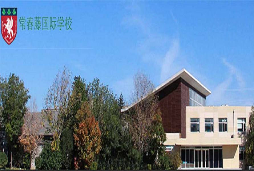 國際學(xué)校(圖1)